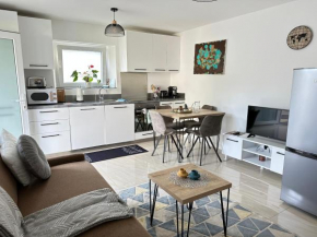 Superbe appartement proche de stations de ski